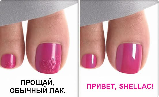 ������������ �������